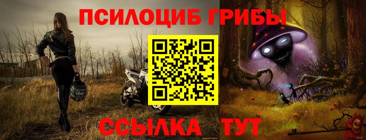 Ковров  купить наркотики цена  Псилоцибиновые грибы Cubensis  Вход с VPN  Галлюциногенные грибы Psilocybe 